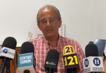 Profepa advierte cárcel para vendedores y compradores de loros y pericos
