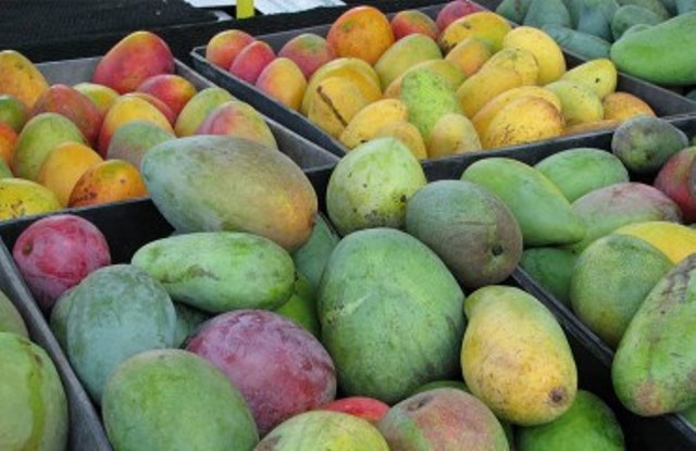 MANGO 1