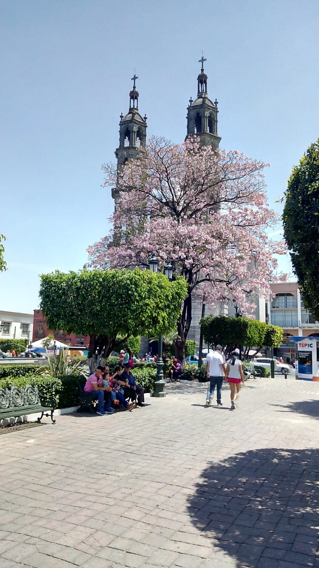 tepic-nayarit
