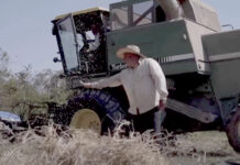 Solido apoyo del DIF a productores de Tecuala