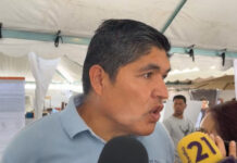 Alertan por avance de gusano barrenador en el estado de Nayarit