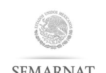 Semarnat intensifica limpieza de playas en Nayarit para frenar contaminación de plástico