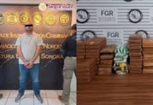 Aseguran 88 kilos de fentanilo ocultos en cargamento agrícola en carretera de Sonora