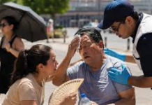 Calor, insectos y enfermedades: los riesgos de salud que enfrentarán los aficionados en el Mundial 2026