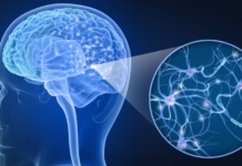 Hombre con ELA recupera la comunicación gracias a un innovador implante cerebral autónomo