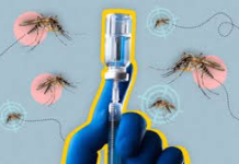 Van 4 Muertos por Dengue en México; Preparan Vacunas y Laboratorios con Mosquitos Wolbachia