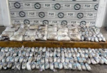 Aseguran más de 145 kilos de metanfetamina en paquetería de Hermosillo; tenía como destino Tijuana