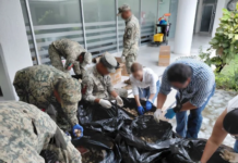 Detienen en Colima a hombre que transportaba más de 11 mil huevos de tortuga marina