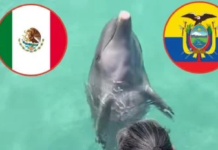 Delfín ‘Hidalgo’ pronostica triunfo de México sobre Ecuador en los 16vos de final del Mundial 2026