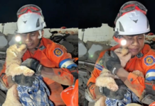 Perrita rescatada de los escombros en Venezuela conmueve al agradecer con “besos” a su salvador
