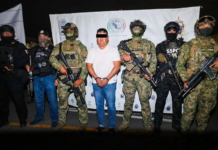 “El Jardinero” obtiene revisión judicial en su intento por frenar extradición a EE.UU.