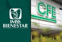 Inhabilitan a 39 servidores públicos del IMSS Y CFE