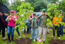 Gobierno del Estado y DIF Nayarit siembran vida y esperanza junto a las familias nayaritas