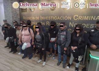 Aseguran 165 kilos de cocaína en el Aeropuerto de Tijuana; detienen a 11 pasajeros