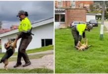 Mujer policía conquista las redes al jugar con un perrito en un tierno video viral