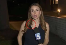 Conductora sorprende por mantener la calma mientras una cucaracha le caminaba encima en plena transmisión en vivo