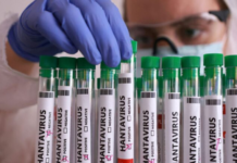 OMS declara el fin del brote de hantavirus vinculado al crucero MV Hondius
