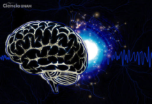 ¿Qué es la materia gris y cómo cuidar el cerebro?