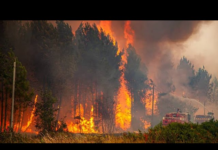 Incendios forestales provocan evacuaciones masivas en España y Francia