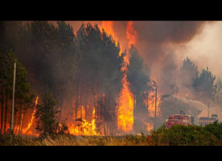 Incendios forestales provocan evacuaciones masivas en España y Francia