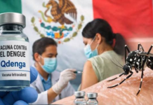 Vacuna contra el dengue podría llegar pronto a México; aún no está disponible