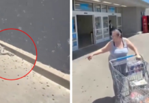 Cámaras captan supuesto alien afuera de un supermercado; la verdad detrás del video viral