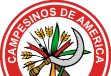 CNC Exige estrategia para comercializar los productos del campo