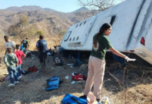Accidentes de tránsito dejan 250 muertos en en todo Nayarit