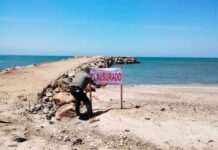 Sheinbaum vía PROFEPA devuelve playas al pueblo