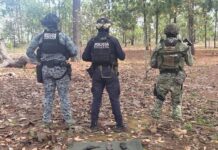 Seguridad integral en Nayarit: combatir delitos, proteger derechos, acercar servicios a ciudadanos