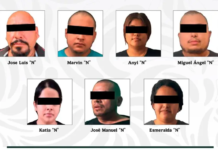 Detienen a 12 personas por extorsión a productores de aguacate en Michoacán