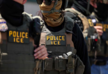 ICE busca equipar a sus agentes con guantes que emiten descargas eléctricas