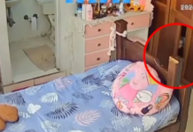Cámaras captan presunto fenómeno paranormal durante terremoto en Colombia