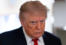Revés para Trump: Corte de EE. UU. desestima demanda contra Harvard por antisemitismo