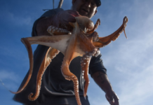 Pulpo se aferra al rostro de un pescador y desata peculiar “lucha” en altamar