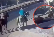 Caballo provoca accidente en la carretera Tijuana-Tecate