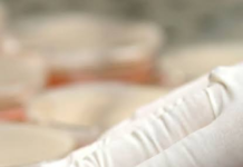 Acinetobacter baumannii: la súper bacteria mortal que investiga la UNAM