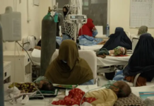 Un millón de niños en Afganistán están en riesgo de morir por desnutrición: Unicef