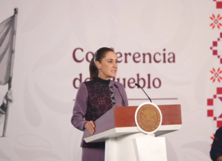 Sheinbaum plantea reforma para limitar doble nacionalidad en cargos públicos