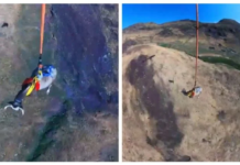 Rescatan a una vaca por vía aérea y el impresionante momento queda captado en video