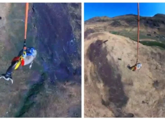 Rescatan a una vaca por vía aérea y el impresionante momento queda captado en video