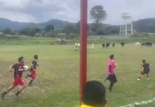 ¡Partido termina con inesperada invasión! Vacas irrumpen en cancha de futbol en Michoacán