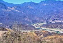 Sequía provoca pérdida de milpas en algunas comunidades del Nayar