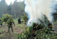 Nayarit mantiene presencia territorial y seguimiento a las acciones de seguridad