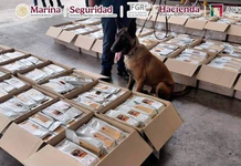 Aduanas y Semar decomisan una tonelada de café contaminado con cocaína en el AICM