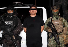 Detienen en Mazatlán a ‘El Peli’, presunto operador de Los Chapitos