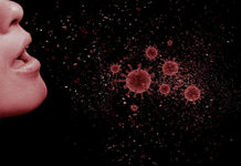 Alertan en EE.UU. por posible transmisión de gripe aviar de visones a humanos
