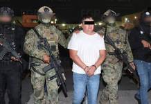 Suspenden extradición de ‘El Jardinero’ a los Estados Unidos