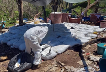 Aseguran más de 16 toneladas de metanfetamina en Sinaloa