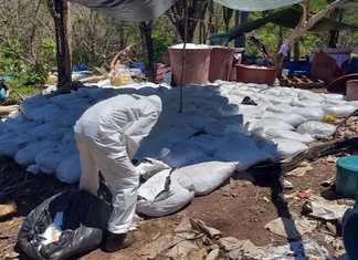 Aseguran más de 16 toneladas de metanfetamina en Sinaloa